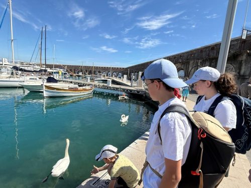 WhatsApp-Image-2026-04-05-at-12.39.48